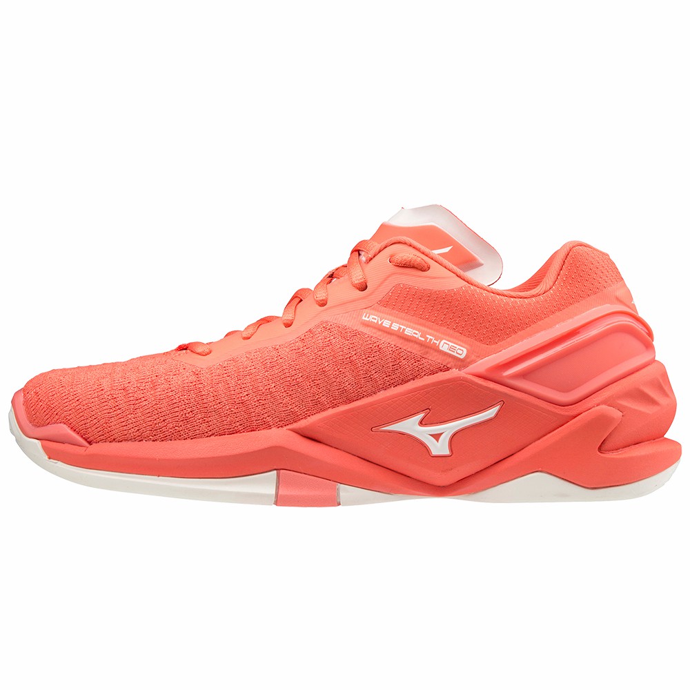 Scarpe Da Pallamano Mizuno Wave Stealth Neo Donna - Grigie/Grigie - 42179-BTSP